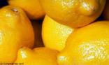 Du soleil plein le citron !