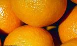 Oranges à gogo !