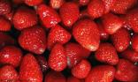 Hum ! Des fraises !