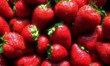 J ai envie de fraises !