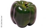 Un poivron vert