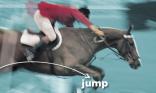 Equitation