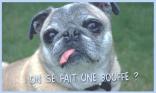 On se fait une bouffe