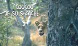 Coucou !