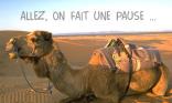 Pause !