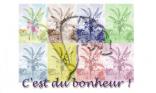 C est du bonheur !