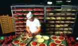 Patissier