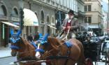 Chevaux attelés