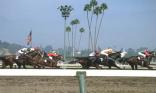 course hippique
