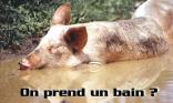 On prend un bain ?