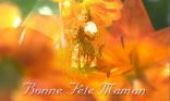 Fête des mères