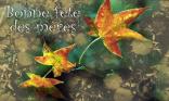 Fête des mères