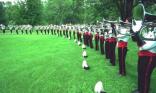 Fanfare