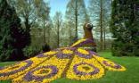 Paon en fleur
