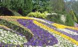 Parterre fleuri