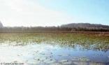 Marais