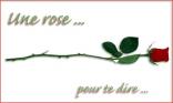 Une rose pour te dire ...