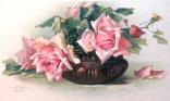 Roses anciennes