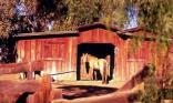 Ranch