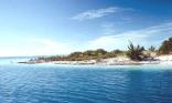 Plage sauvage