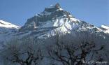 Mont ennneigé
