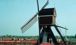 Moulin hollandais
