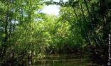 Marais poitevin