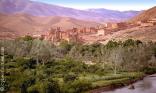 Oasis du désert
