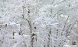 L hiver