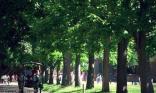 Promenade en calèche
