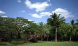 Parc