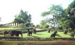 Jardin public