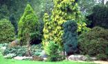 Parc