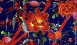 Peinture Asia