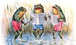Grenouille en fête