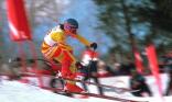 Slalom géant