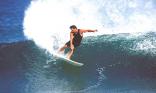 Surf
