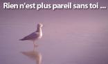 Rien n est plus...