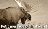Plein d élan
