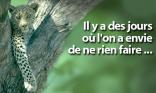 Ne rien faire !
