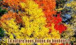Couleur d'automne