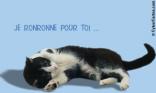 Je ronronne