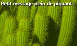 Plein de piquant