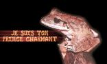 Prince charmant