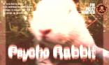 Psycho rabbit