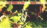 La terre, le vin..