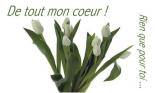 De tout mon coeur !