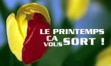 Le printemps ...