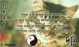 Chat