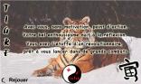 Tigre